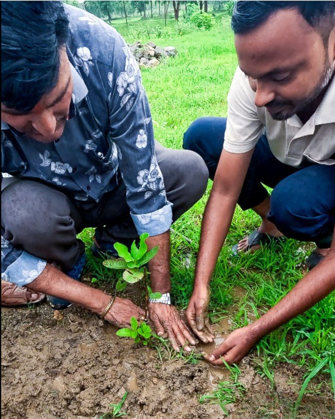 Har Aangan Fal Ka Ped — plantation programme